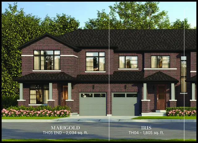North Hill freehold townhomes elevation rendering